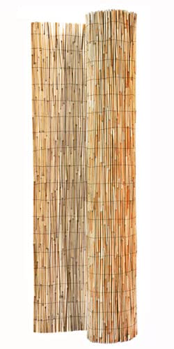 FOREVER BAMBOO Jumbo Reed Privacy Fence - 6ft Tall x 16ft Wide Natural Bamboo Screen for Backyard, Garden & Patio Divider - Tan Finish Outdoor Decorative Fencing for Poolside, Deck & Landscape Privacy
