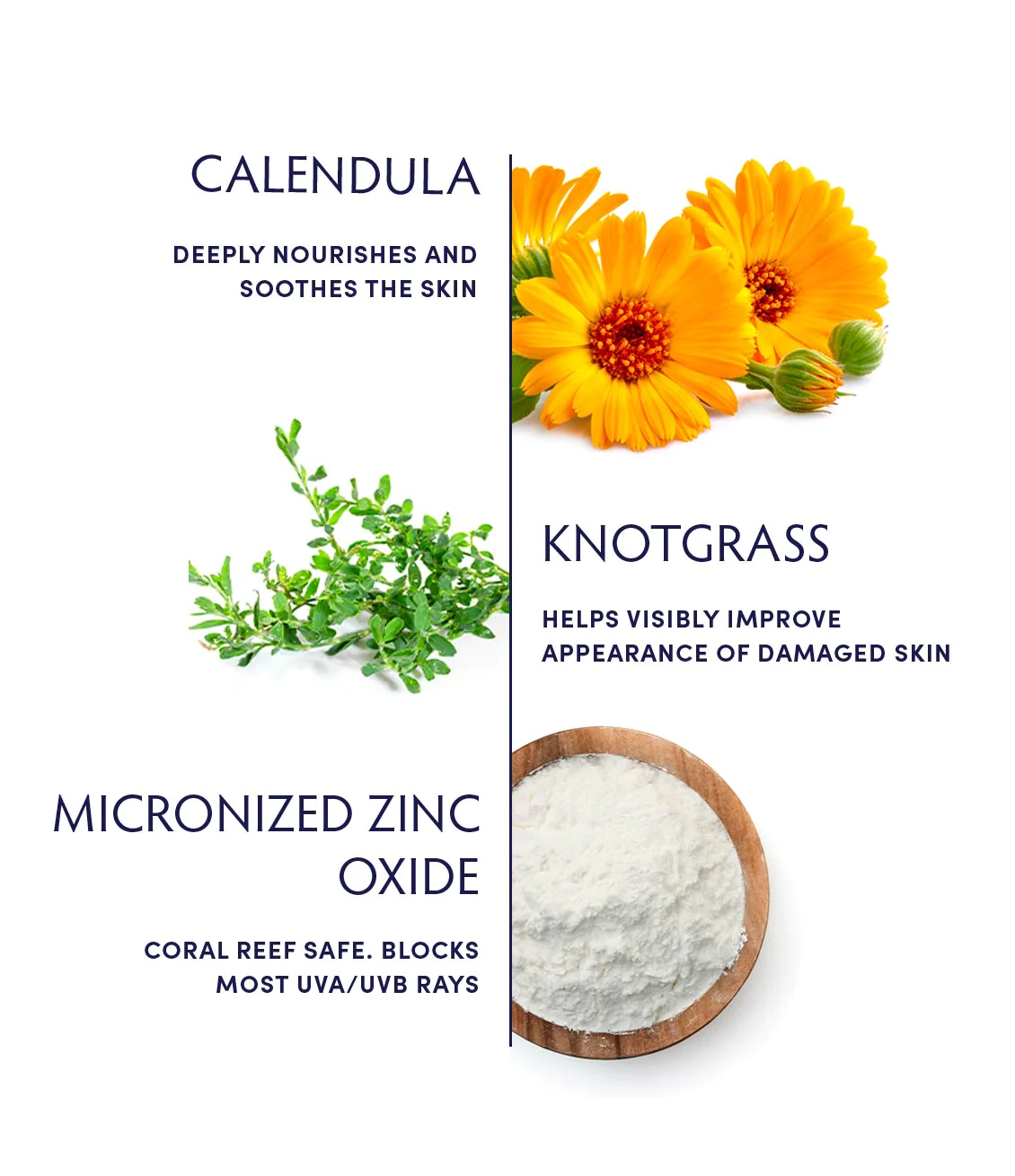 Naturopathica Calendula Essential Hydrating Lotion SPF 30 | Natural Sunscreen for Face & Body | Daily Moisturizer with UV Protection for Sensitive Skin | Perfect for Outdoor Activities & Beach Days