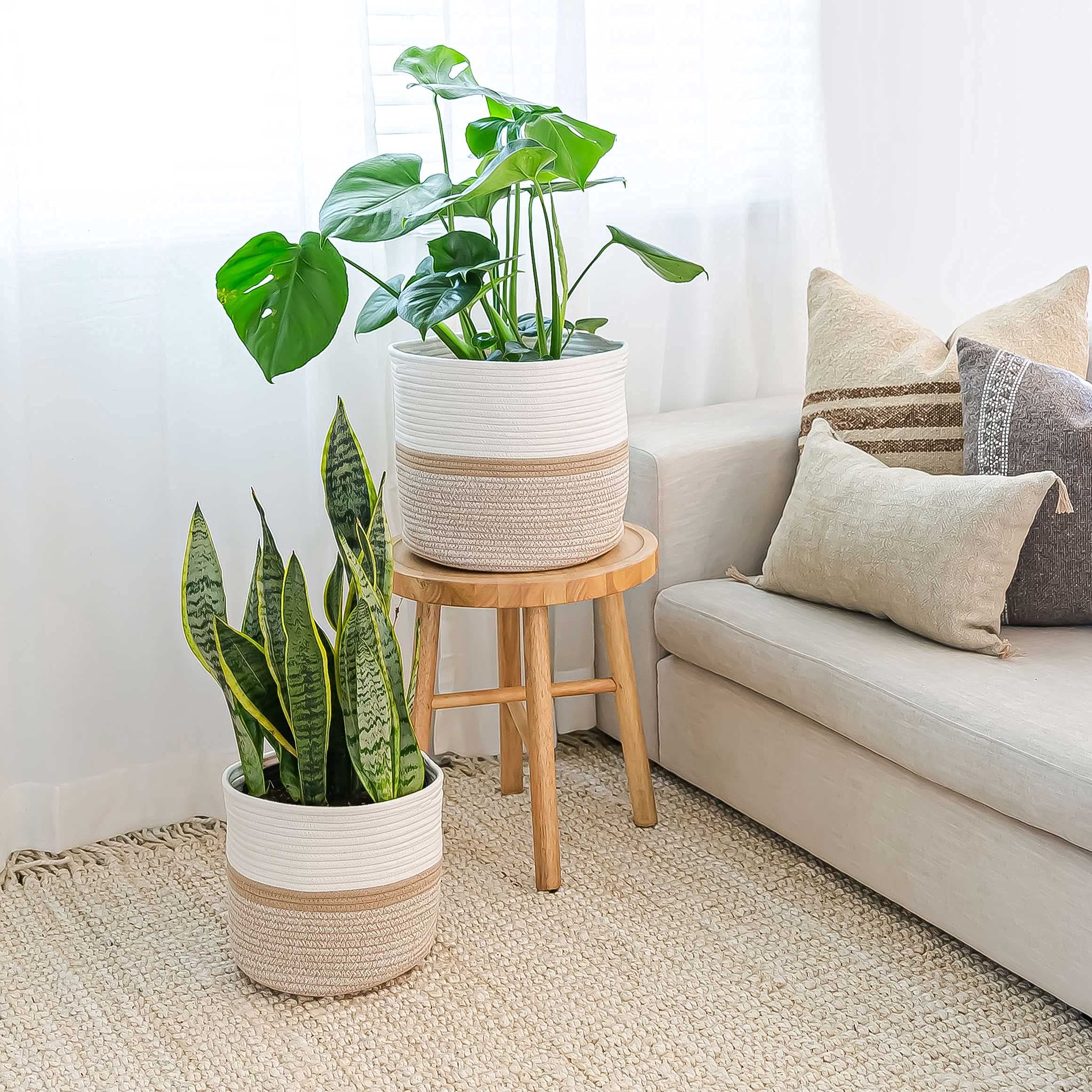 OrganiHaus White Woven Jute Plant Basket Cover - 10 & 12 Inch Indoor Planter Pot Holder for Fiddle Leaf Fig, Succulents, Pothos - Perfect for Living Room, Bedroom, Office Decor & Housewarming Gifts