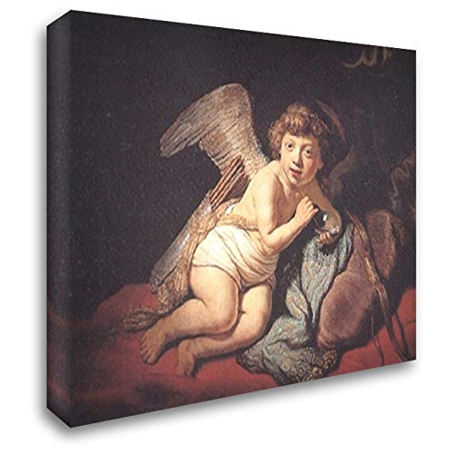 Rembrandt Cupid Blowing Soap Bubbles 24x20 Inch Canvas Wall Art - Hand Stretched Gallery Wrapped Painting for Living Room, Bedroom & Office Decor