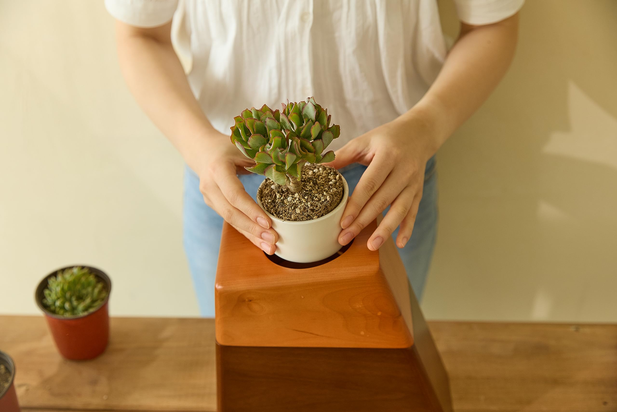 Handcrafted Wooden Cremation Urn for Adult Ashes - Elegant Plant Urn by Aspen Studio | Perfect for Memorial Services, Home Display & Scattering Ceremonies