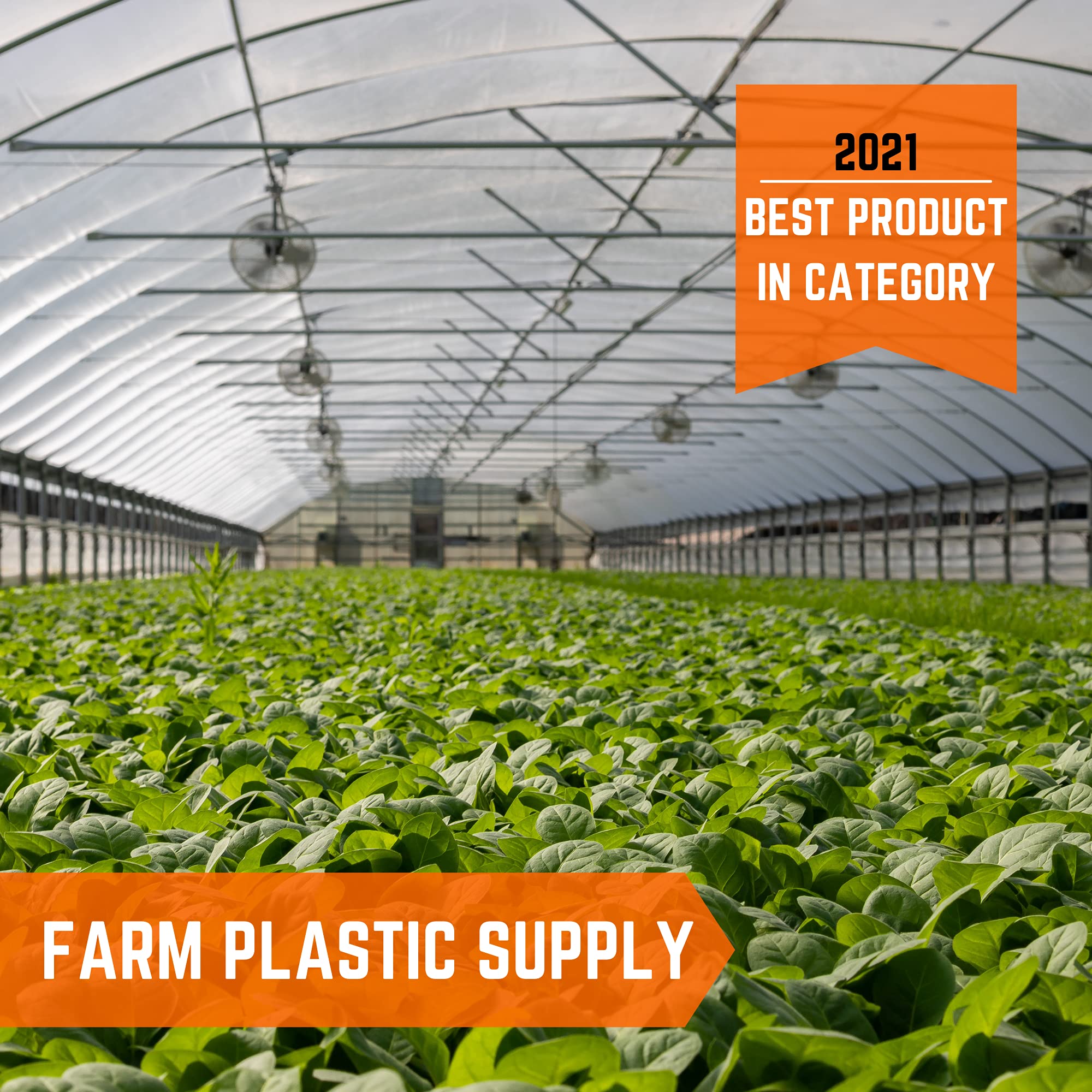 Clear Greenhouse Plastic Sheeting 6 mil - 25' x 75' UV Resistant Polyethylene Film | 4 Year Durability for Hoop Houses, Gardening & Farming | Weatherproof Cover for Plants, Vegetables & Crop Protection