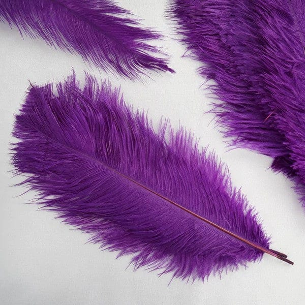 12 Pcs 10-15 Inch Genuine Ostrich Feathers for DIY Crafts, Wedding Decorations, and Costume Accessories