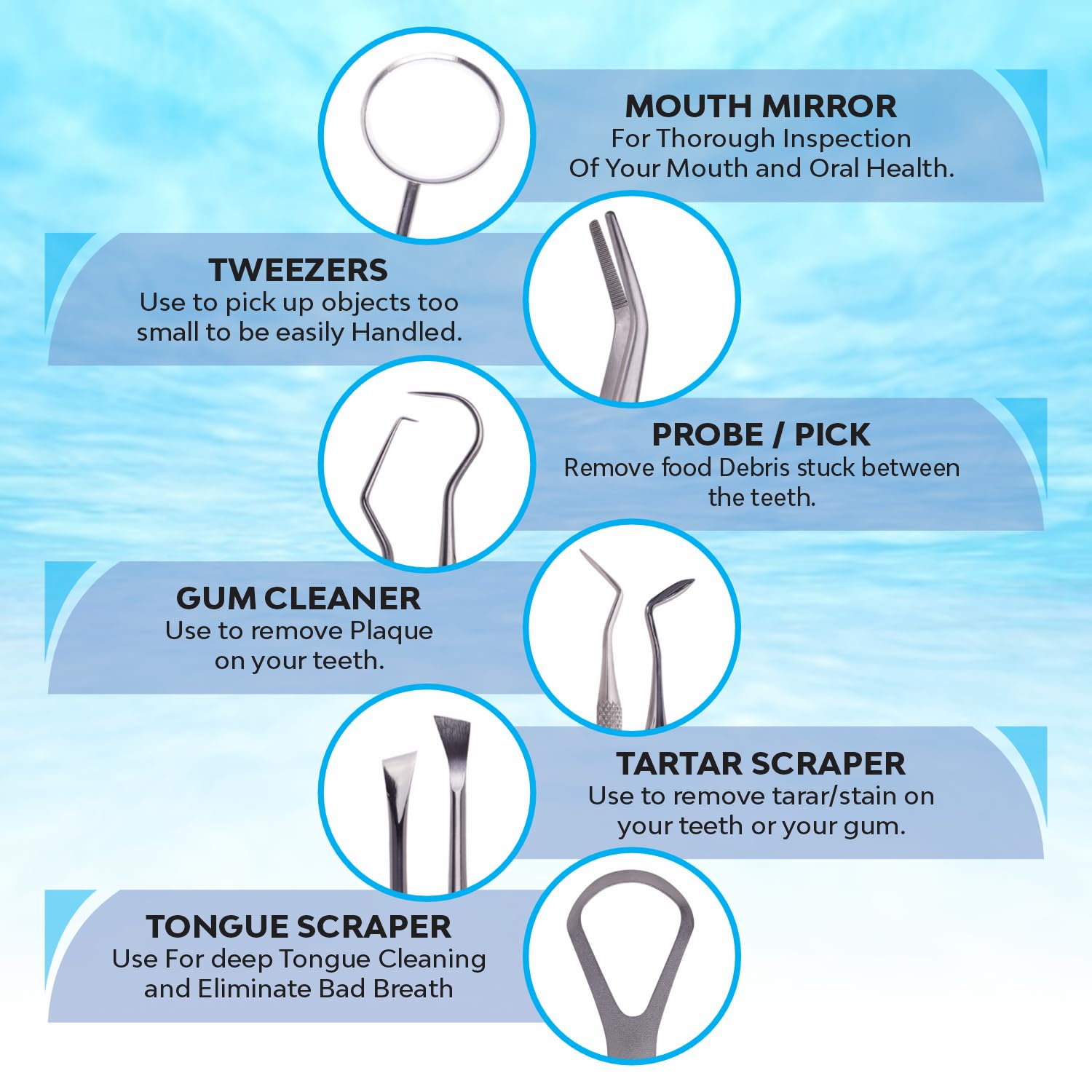 Professional Stainless Steel Dental Tools Kit - 6 PCS Teeth Cleaning Set with Plaque Remover, Dental Pick & Tooth Scraper | Oral Hygiene Care for Dentists & Home Use | Perfect for Travel & Daily Dental Maintenance