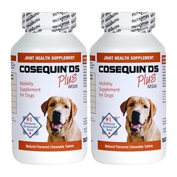 Cosequin DS Plus MSM Joint Health Supplement for Dogs - 360 Chewable Tablets (2 x 180) - Supports Mobility & Hip Health - Ideal for Senior Dogs & Large Breeds - Vet Recommended Formula