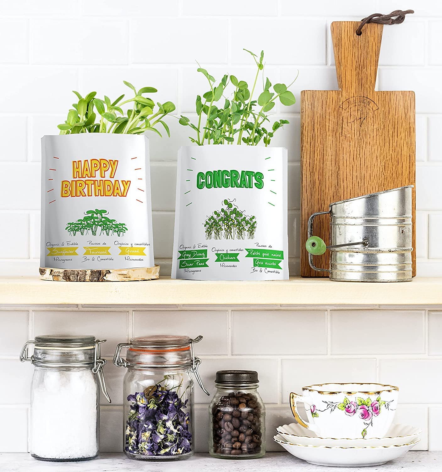 Eco-Friendly Father's Day Greeting Card with Organic Microgreens - Plantable & Edible Gift for Dad | All-Occasion Sustainable Postcard | 1 Pack | Perfect for Birthdays, Holidays & Special Moments