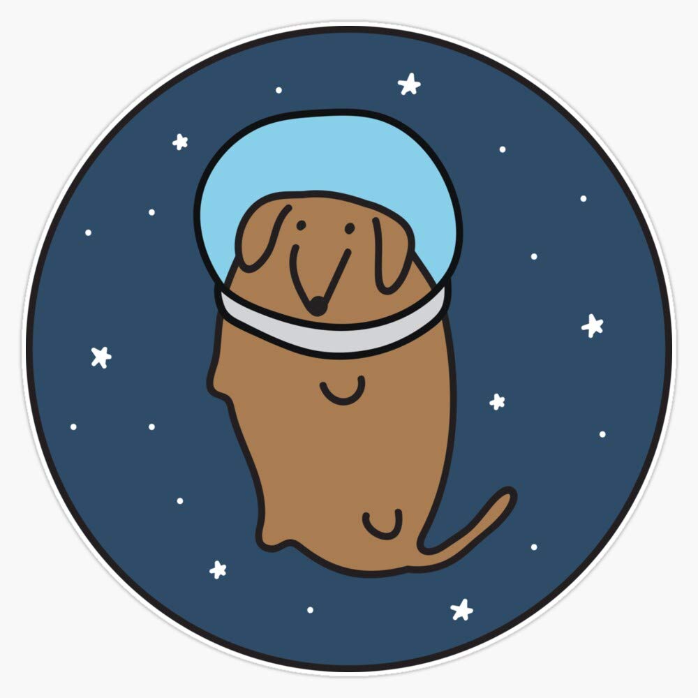 Waterproof Space Dachshund Wiener Dog Vinyl Sticker Decal - 5 Inch Durable Graphic Sticker for Cars, Laptops, Walls, Windows & Bumpers - Perfect for Outdoor Use, DIY Decor & Personalizing Your Belongings