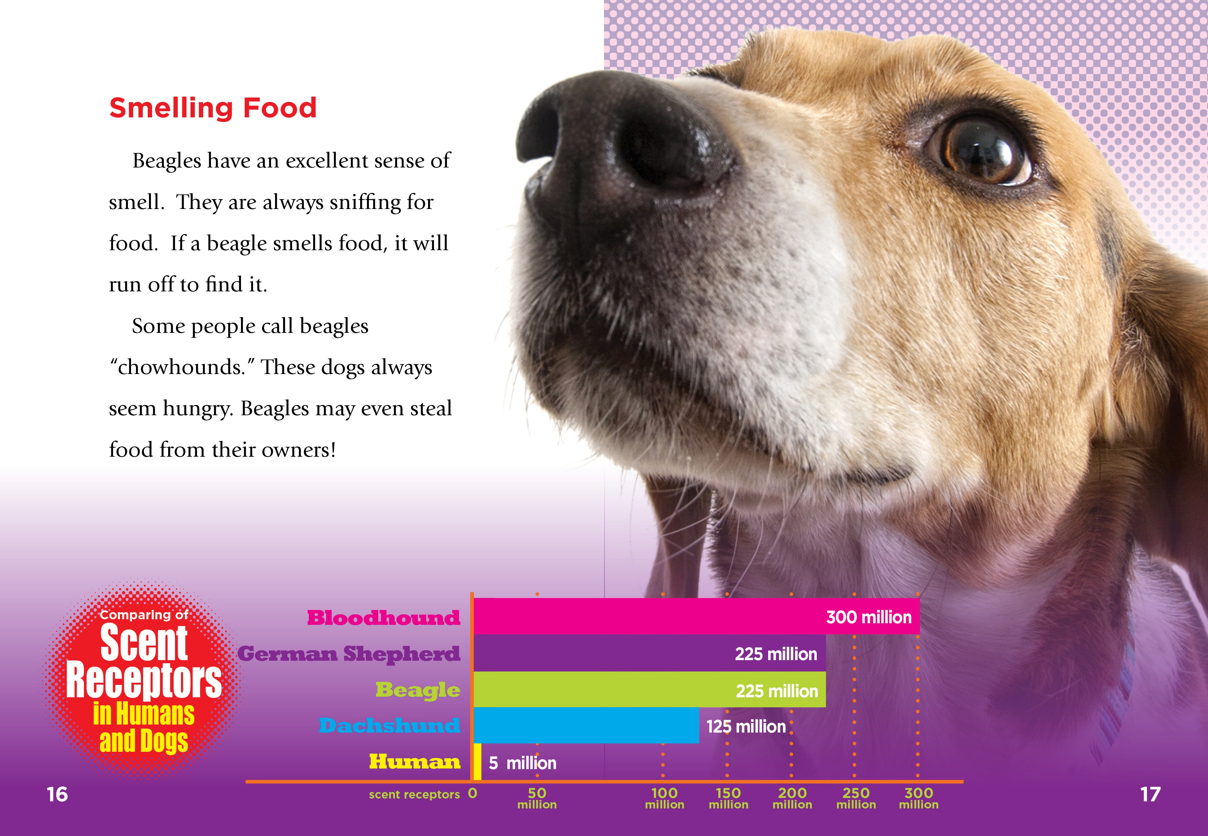 Beagles Dog Collar with GPS Tracker - Real-Time Location Tracking for Your Beagle | Perfect for Outdoor Adventures & Daily Walks