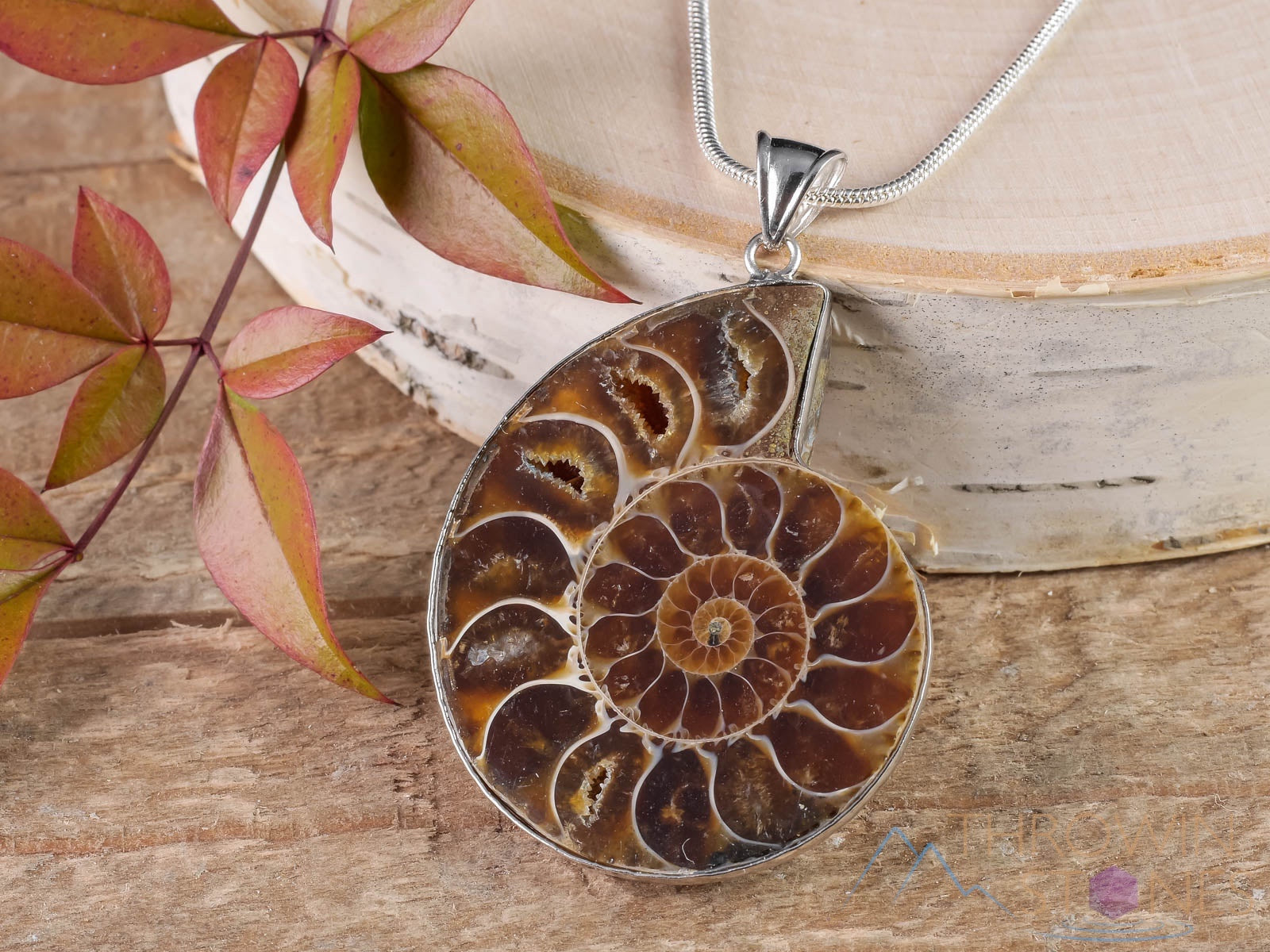 AMMONITE Fossil Pendant - Natural Ammolite & Opalized Ammonite Jewelry with Iridescent Colors | Unique Gift for Women, Men | Perfect for Birthdays, Anniversaries & Spiritual Healing (E0282)