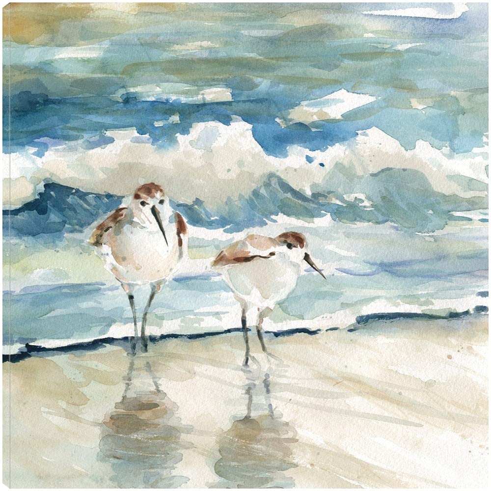 Hand-Painted Beach Birds Canvas Wall Art by Carol Robinson - 22x22 Inch Ready to Hang Coastal Decor for Living Room, Bedroom, Bathroom & Office - Perfect for Beach House, Coastal Theme & Nature-Inspired Interiors