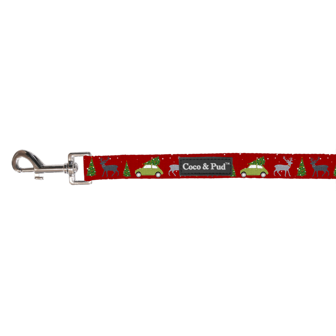 Deck The Paws Cat Lead - Adjustable Cat Harness with Leash for Safe Outdoor Adventures, Perfect for Walking, Training & Vet Visits