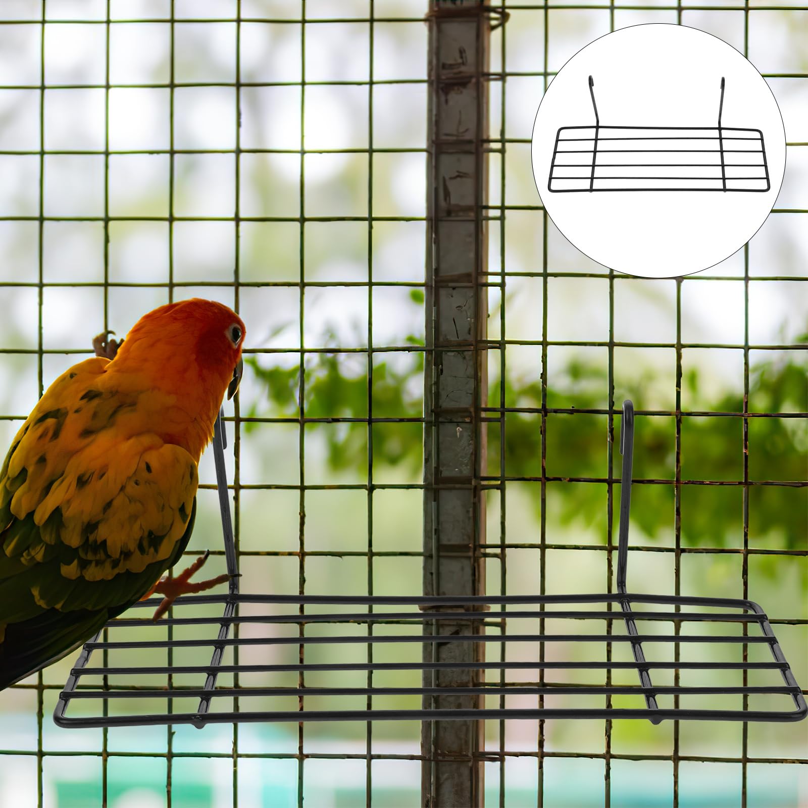 Balacoo 3-Piece Iron Bird Play Stand - Portable Parrot Training Perch & Cage Stand for Budgies, Parakeets, Cockatiels | Durable Bird Wire Platform for Indoor/Outdoor Play, Training & Exercise