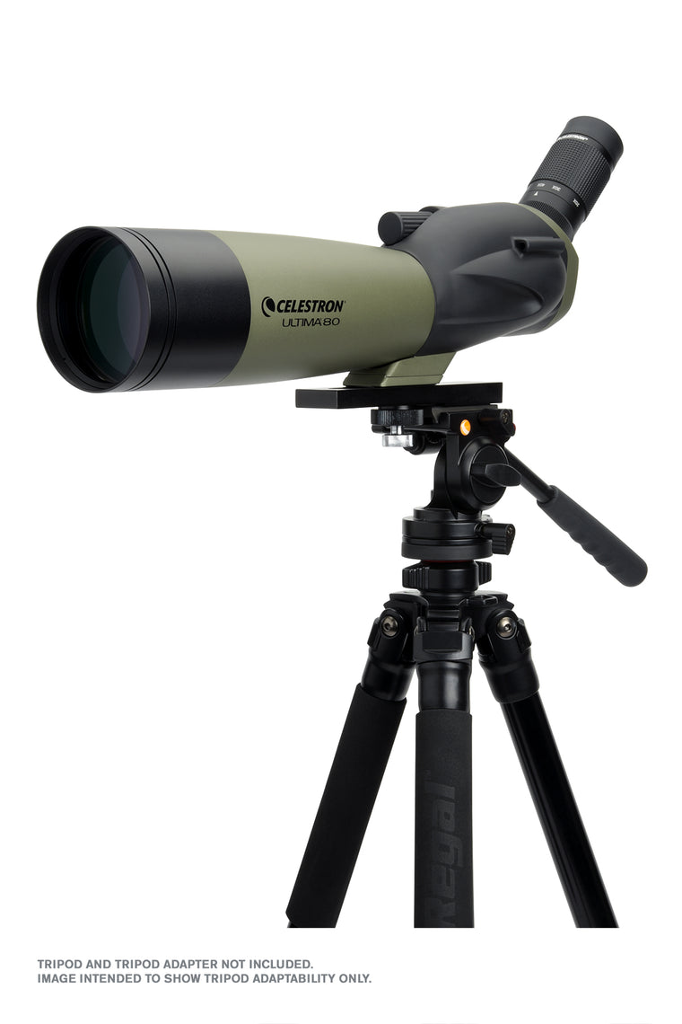 Celestron Ultima 20-60x80mm Angled Zoom Spotting Scope - High Power Magnification for Bird Watching, Hunting & Target Shooting | Waterproof & Fog Proof Design