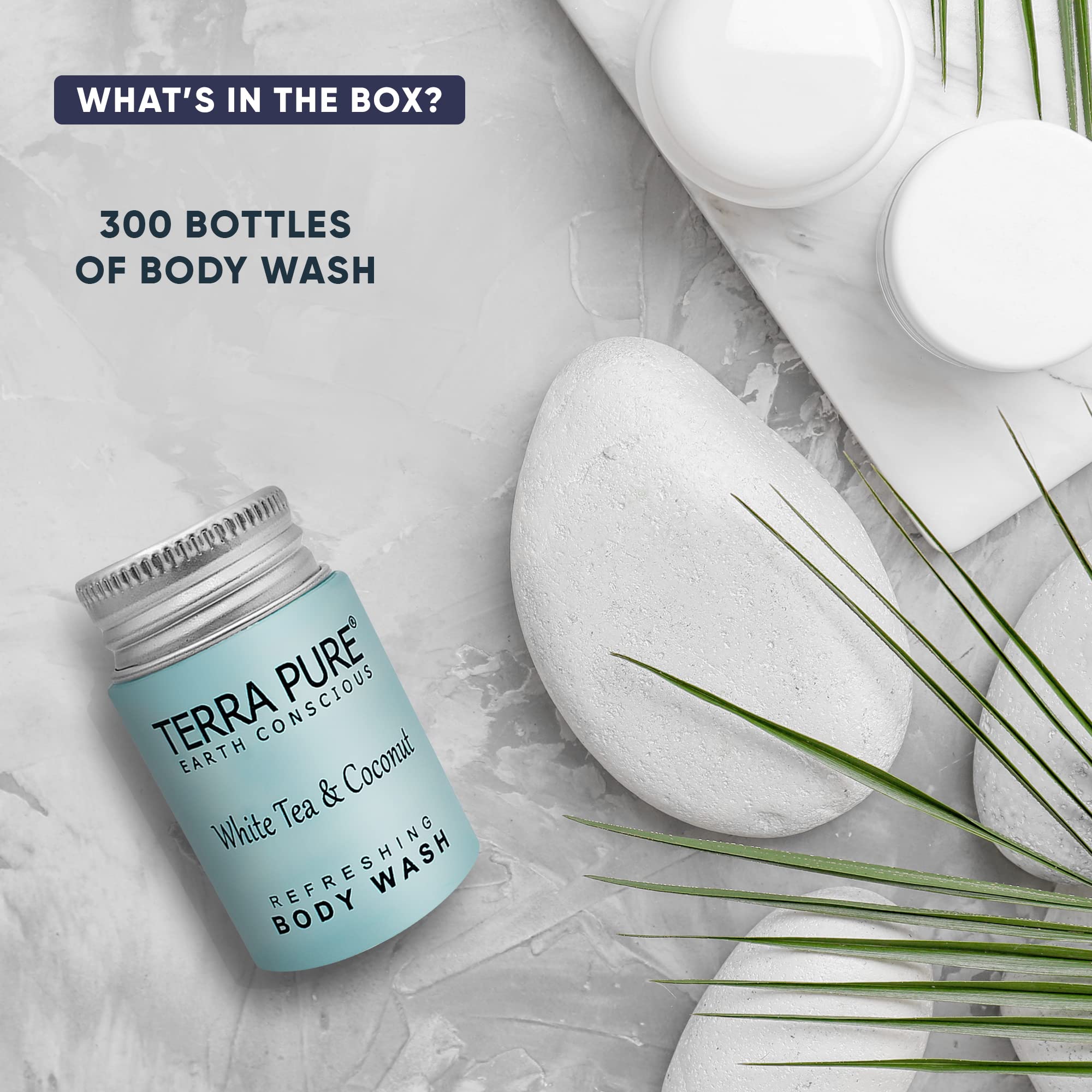 Terra Pure White Tea & Coconut Body Wash - Travel Size (1 oz) | Bulk Pack of 300 | Hotel Amenities & Sample Sizes for Travel, Gyms & Hospitality Use