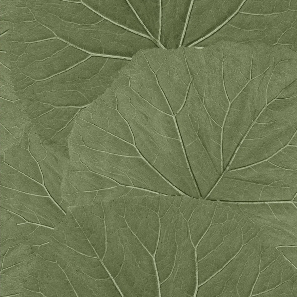Jungle Fever Lush Harmony - Exotic Tropical Home Decor for Boho & Jungle Theme Rooms | Perfect for Living Room, Bedroom, or Office Decor