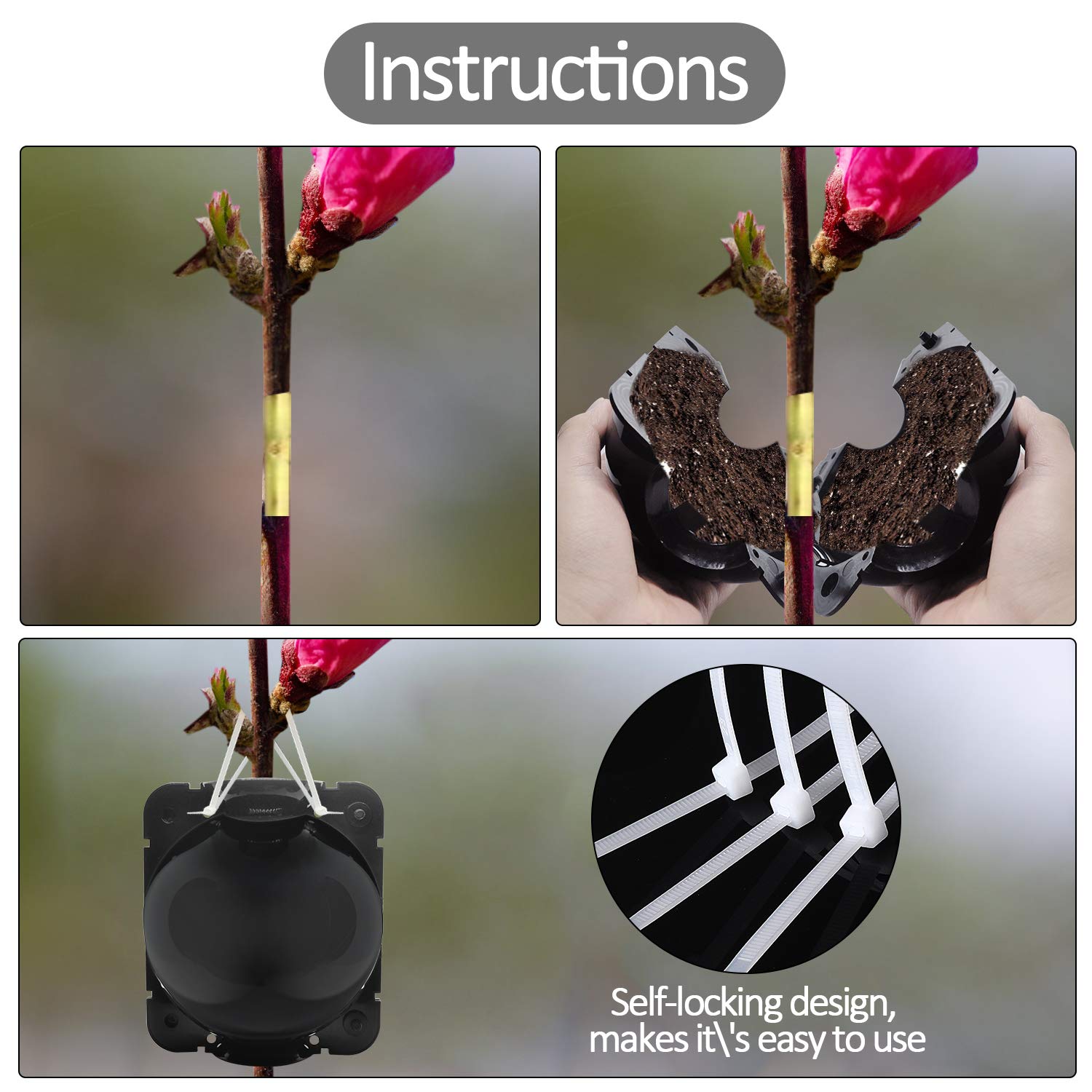 24 PCS Reusable Plant Rooting Boxes for Grafting & Propagation - Garden Use