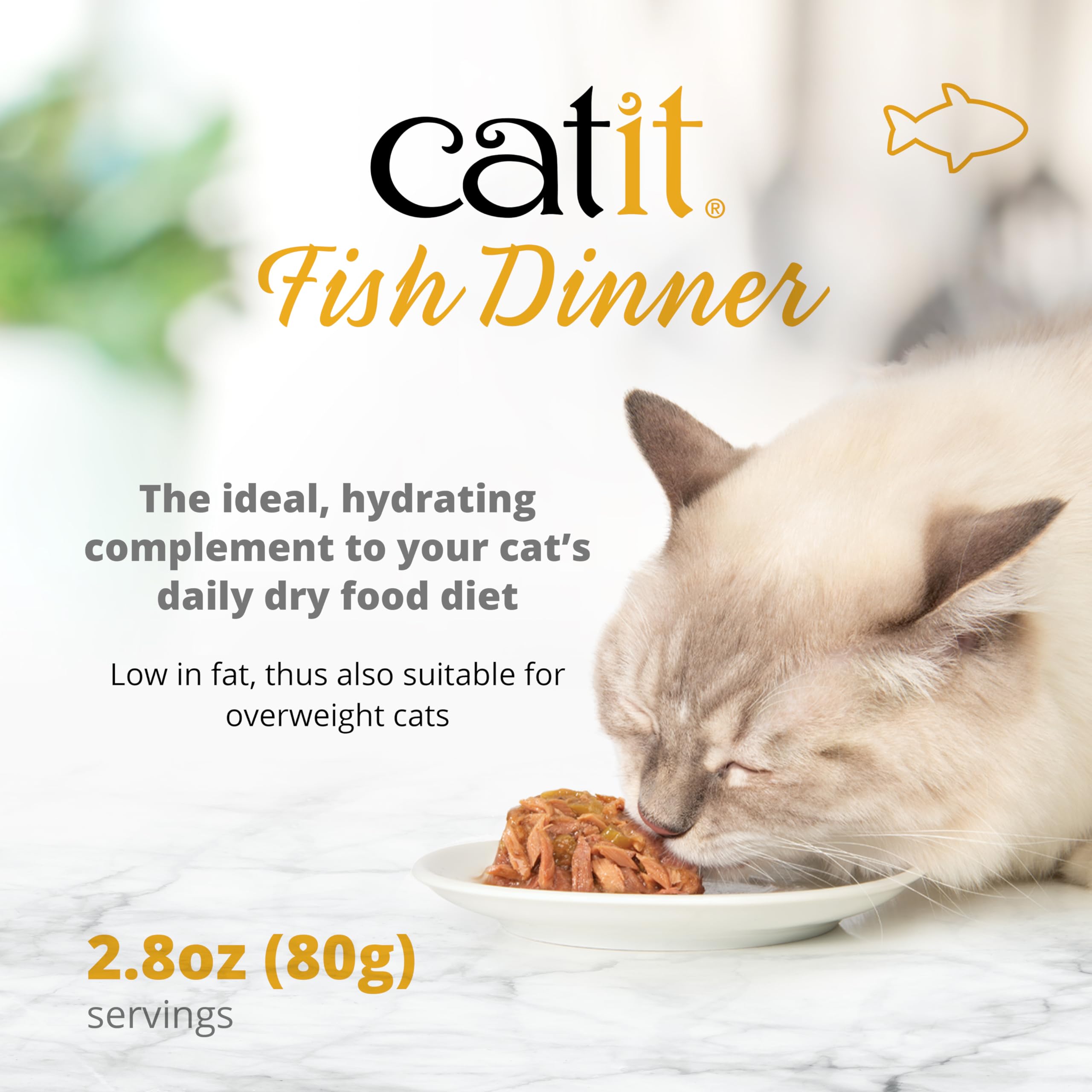Premium Catit Wet Cat Food - Fish Dinner with Tilapia & Potato, 80g (Pack of 6) | Grain-Free Wet Cat Food for Adult Cats & Kittens | Perfect for Mealtime, Travel & Picky Eaters