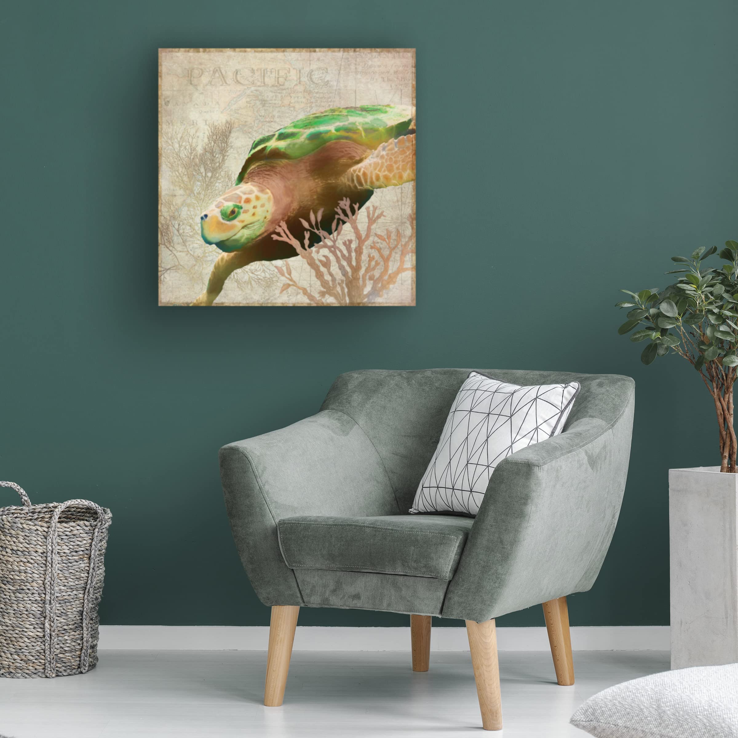 Trademark Fine Art 'Sea Turtle Pacific' Canvas Wall Art Print by Cora Niele - Ocean Themed Home Decor for Living Room, Bedroom & Office