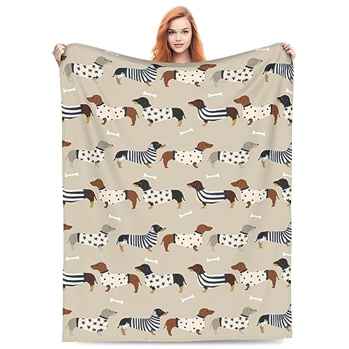 Dachshunds Dog