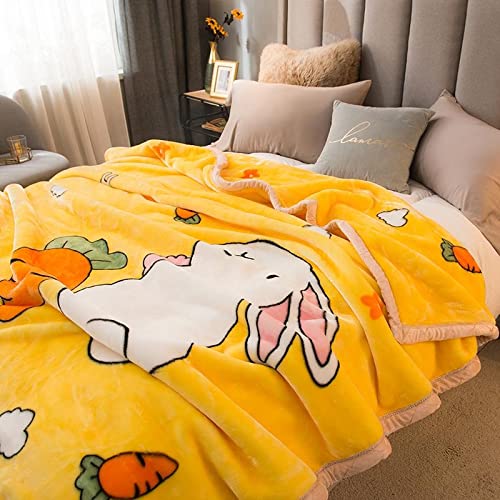 Premium Korean Mink Blanket - Heavyweight 2 Ply Fleece Blanket Twin Size 60