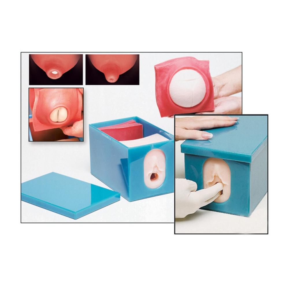 Fetal Doppler Monitor & Labor Progress Model Set - Accurate Pregnancy Tracking for Medical Training & Obstetric Education