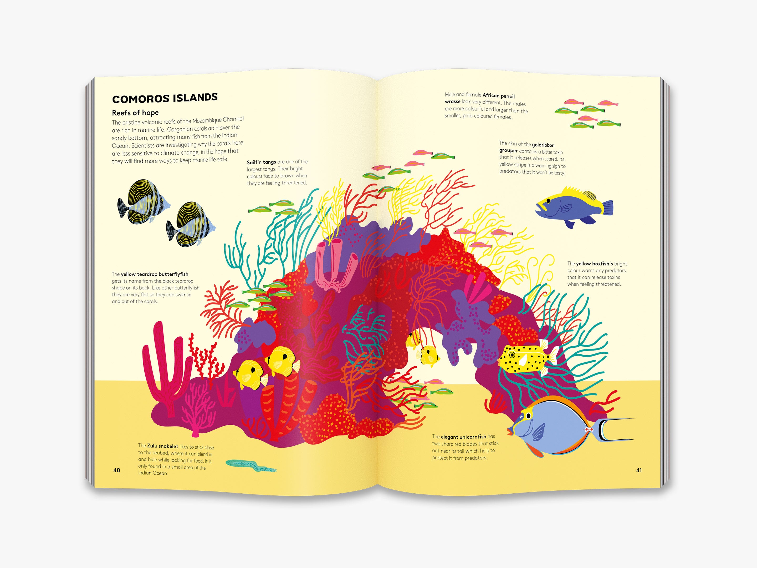 Dart and Dive Across the Reef: Extreme Marine Adventure Game for Kids - Perfect for Ocean-Themed Parties & STEM Learning