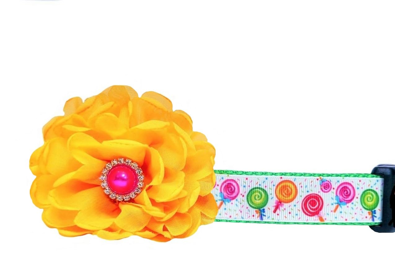Colorful Lollipop Candy Dog Collar - Sweet & Fun Pet Accessory for Small & Medium Dogs - Perfect for Halloween, Birthday Parties & Dress-Up Play