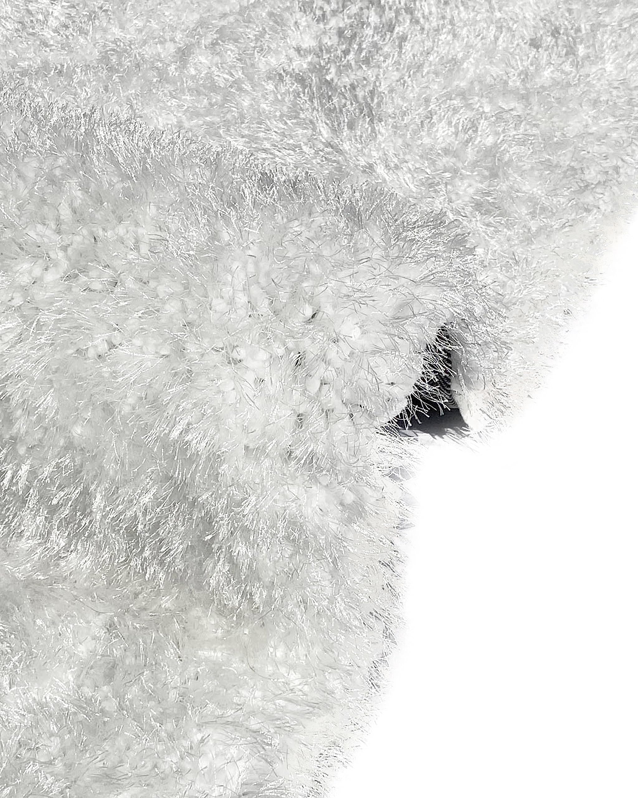 Premium Soft Plush Shag Area Rug - 1.5