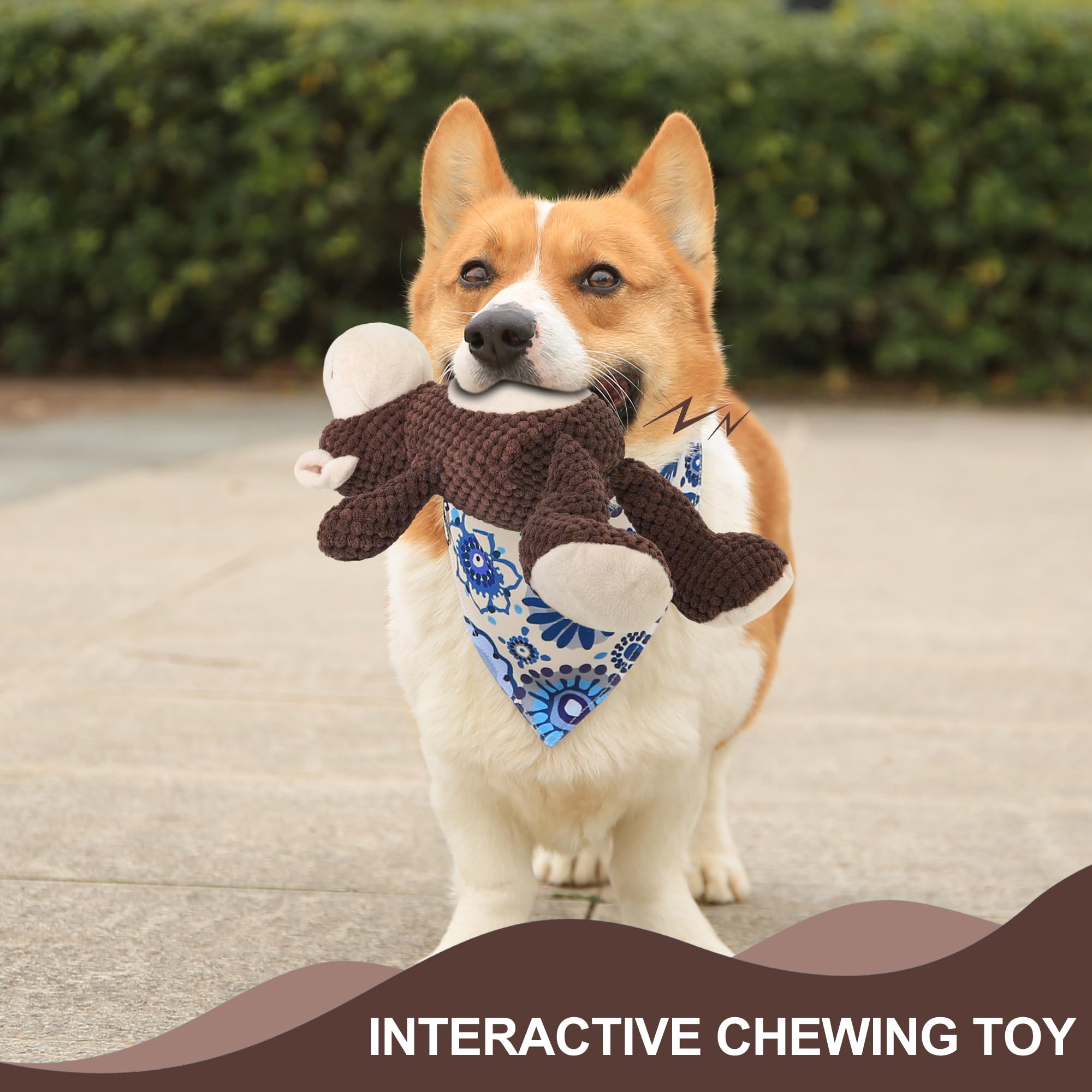 Dog Squeaky Toys - Plush Chew Toys for Small, Medium & Large Dogs | Cute Monkey Design for Anxiety Relief & Comfort | Perfect for Playtime, Training & Stress Relief
