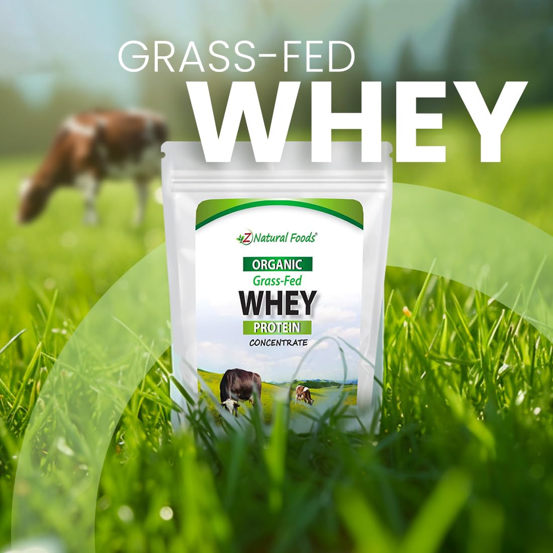 Organic Grass-Fed Whey Protein Powder by Z Natural Foods – Cold-Processed Whey Protein Concentrate with Essential Amino Acids for Muscle Recovery & Fitness – Unflavored, 5 lb – Perfect for Post-Workout Shakes, Smoothies & Baking