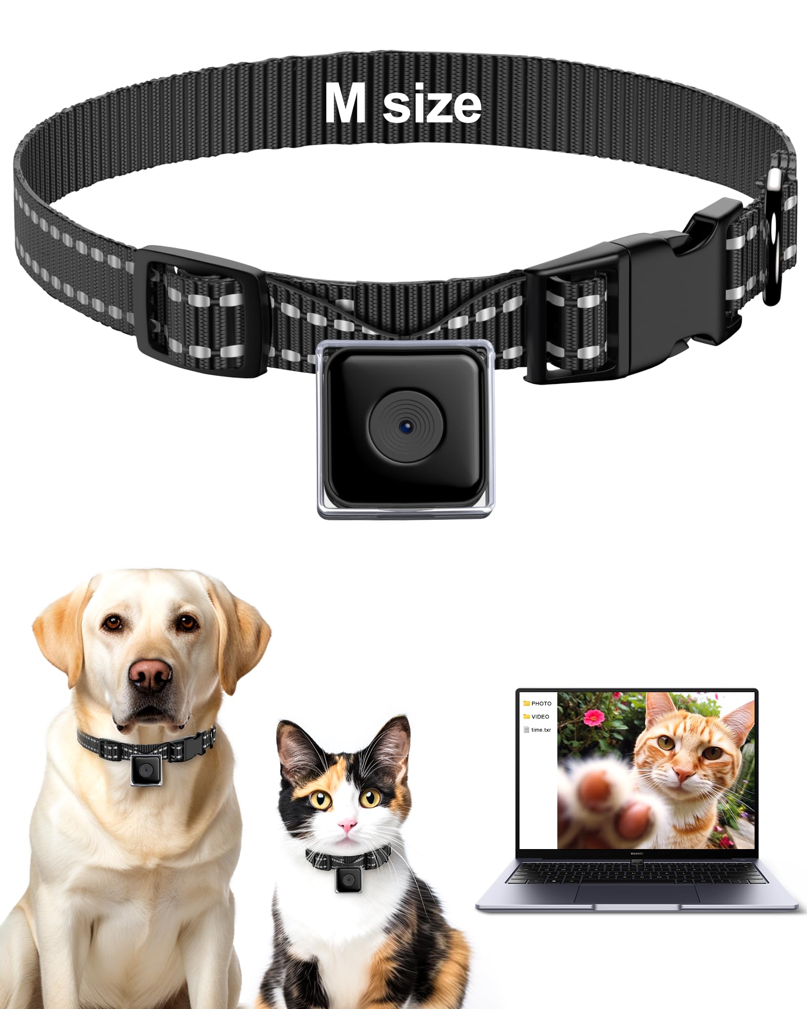 Pet Camera Collar for Cats & Dogs - No App Needed, Wireless Body Camera for Pet Tracking & Monitoring - Perfect for Outdoor Adventures, Home Security & Training (M-Size, Micro-SD Card Not Included)