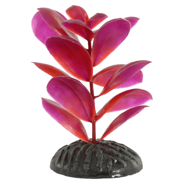Premium Magenta Bacopa Plastic Betta Fish Plants (Set of 4) – Realistic Aquarium Decor for Betta Tanks, Fish Bowls & Home Aquascaping