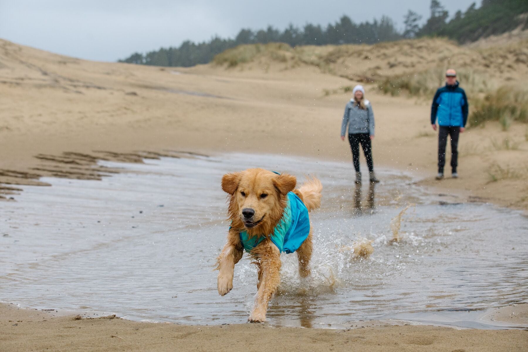Ruffwear Sun Shower® Waterproof Dog Vest - Blue Dusk Color | Lightweight Rain Jacket for Dogs | Perfect for Hiking, Camping & Outdoor Adventures