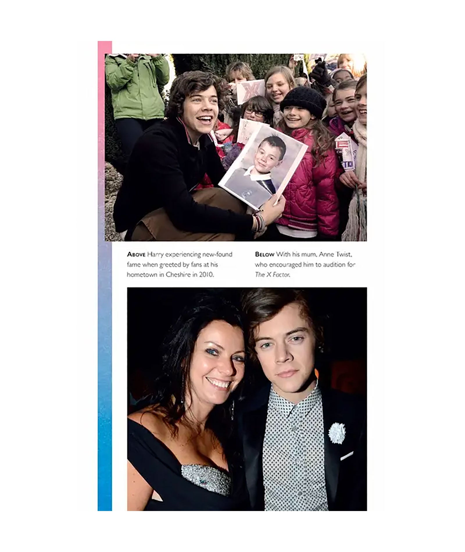 Harry Styles: The Unauthorized Biography - Music, Fashion & Life Story of the Pop Icon | Perfect for Fans, Music Lovers & Gift Ideas