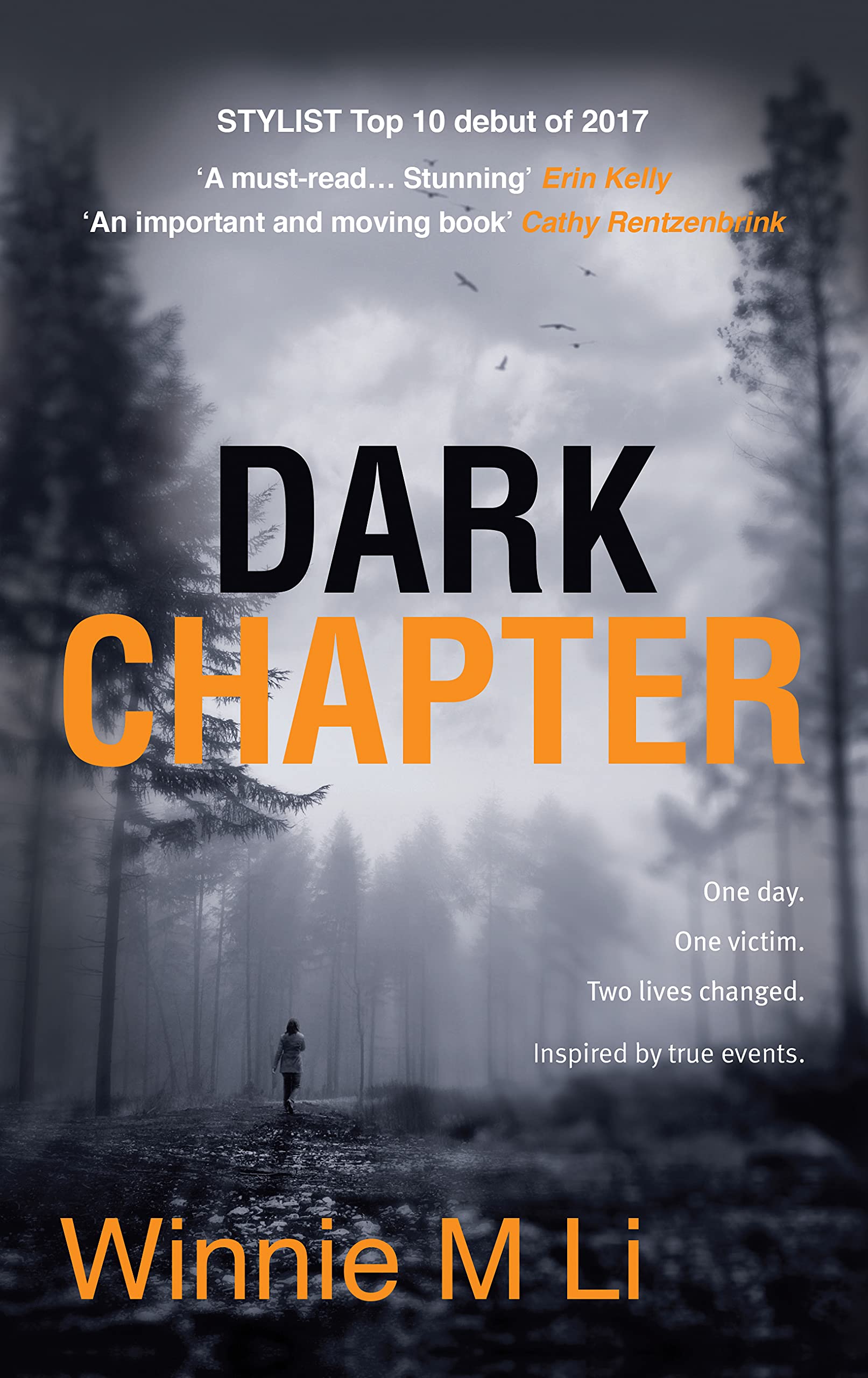 Dark Chapter Gothic Novel - Mystery Thriller for Book Lovers