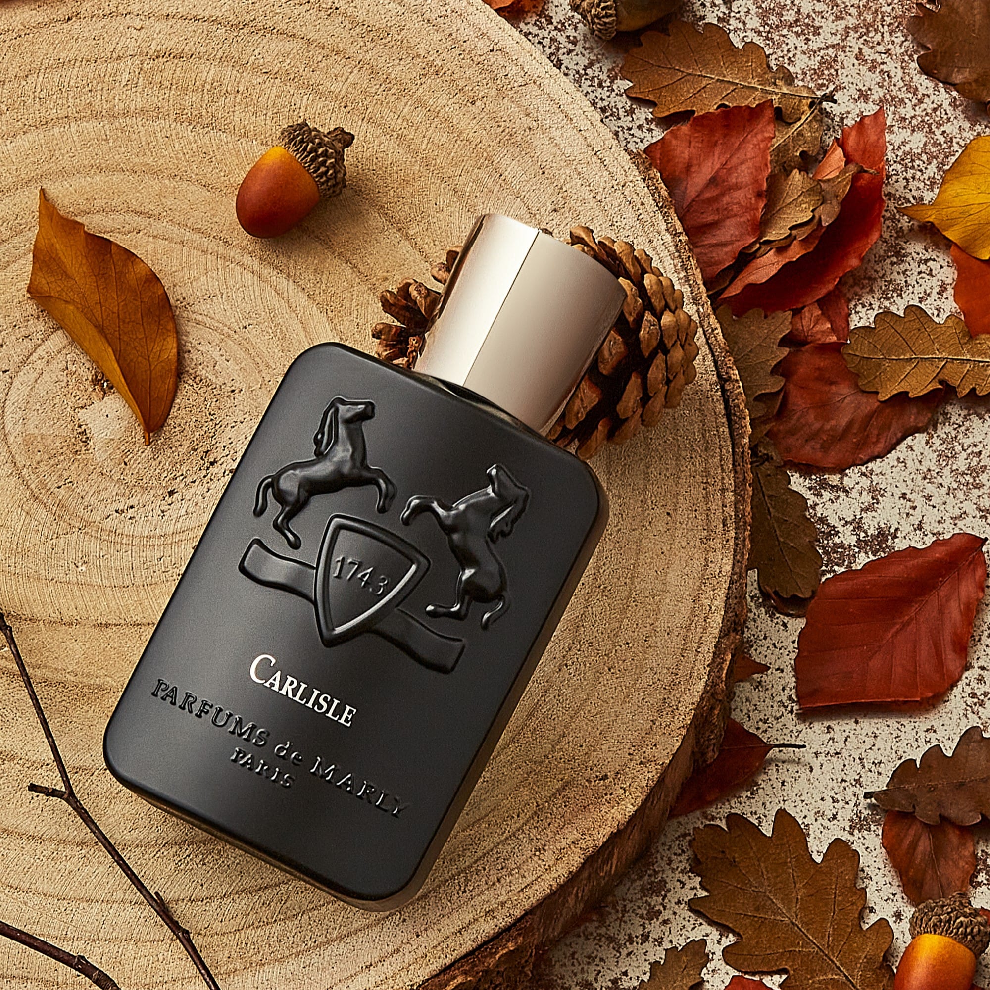 Carlisle Eau de Parfum - Luxury Perfume for Women & Men | Long-Lasting Fragrance | Perfect for Date Night, Office & Special Occasions