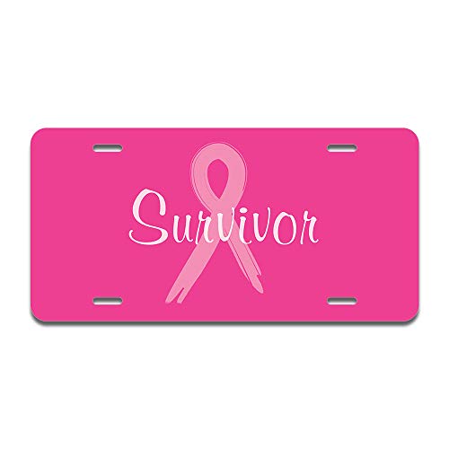 Survivor