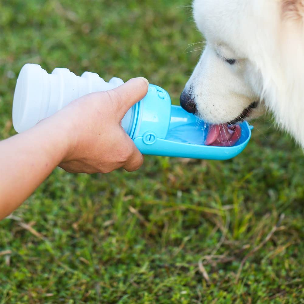 Portable Foldable 300ml Leak Proof Silicone Dog Water Bottle - Travel Pet Water Dispenser for Hiking, Walking & Outdoor Adventures (Blue)