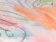 Watercolor Floral