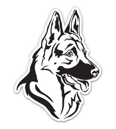 German Shepherd Dog 8