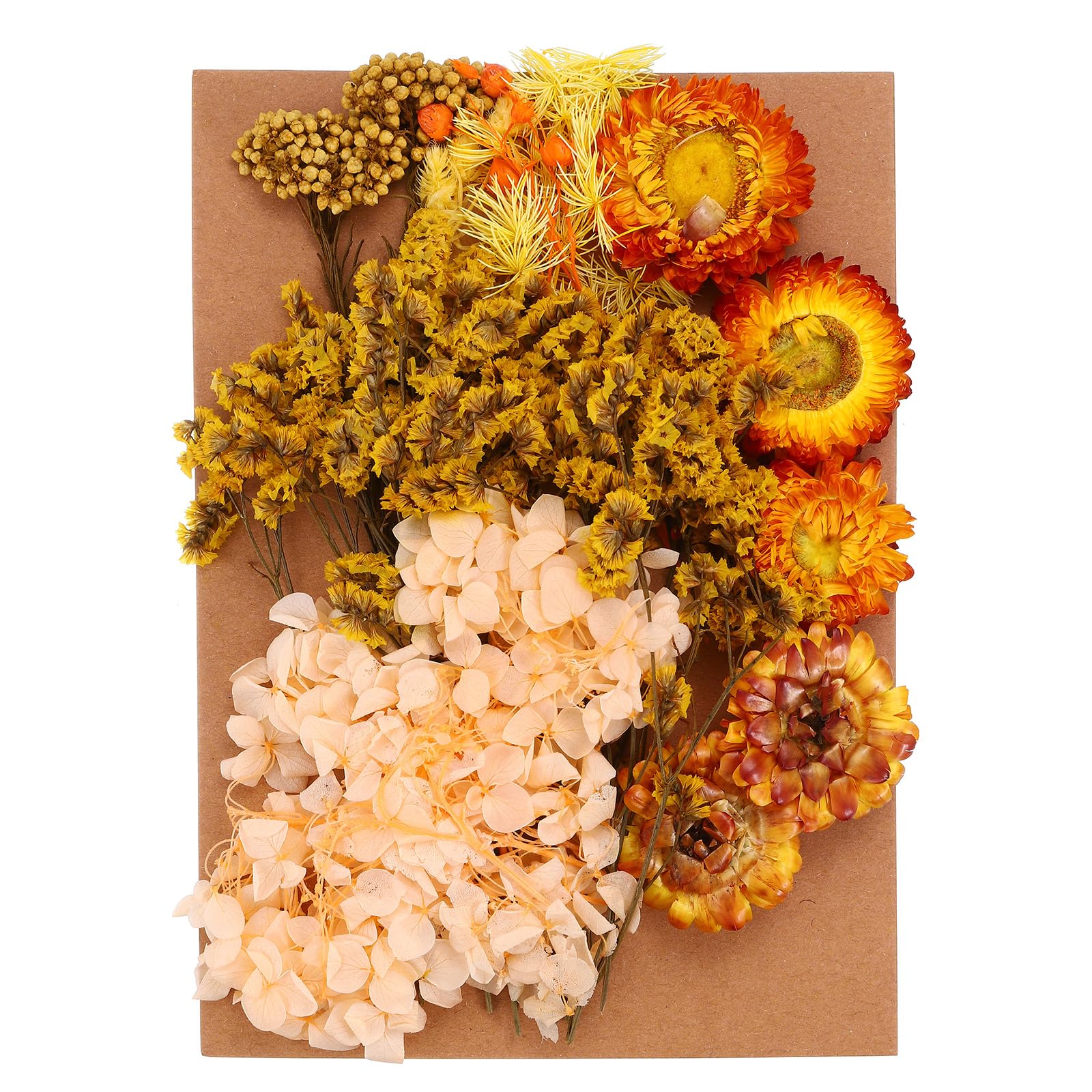 Pressed Flowers Bulk - Natural Dried Flowers & Leaves for Resin, Soap, Candle Making, Scrapbooking, DIY Gifts, Paper Crafts - Orange Series - Perfect for Wedding Decor, Home Crafts & Art Projects