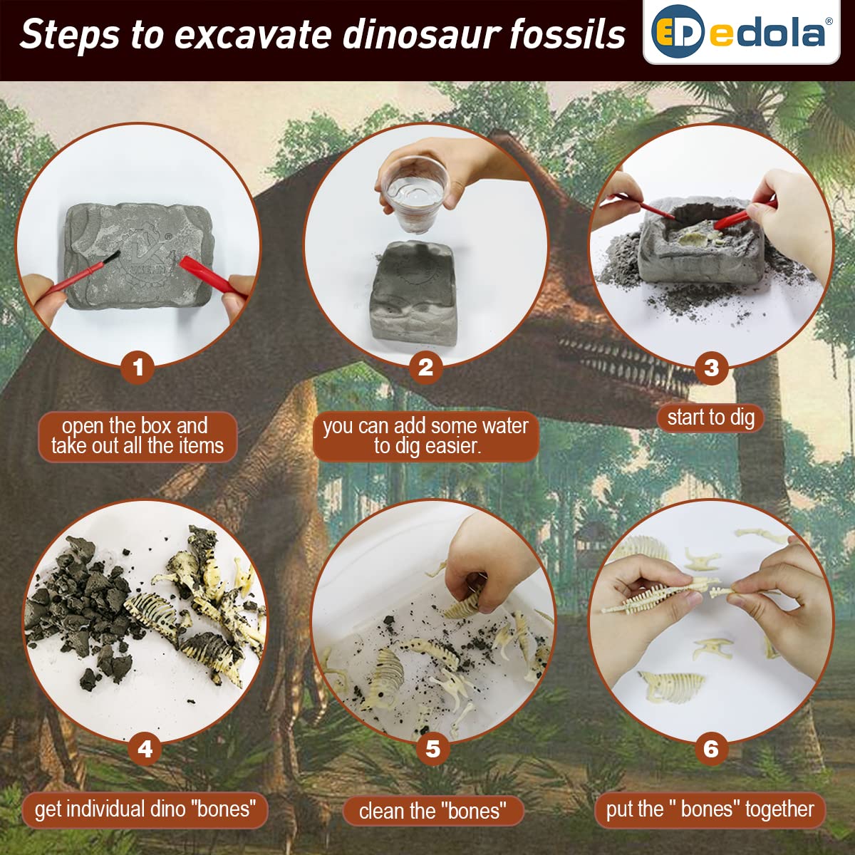 Dinosaur Fossil Dig Kit for Kids - 2 Pack STEM Science Kit with Triceratops & Tyrannosaurus Bones | Educational Archaeology Toy for Boys & Girls | Perfect for Birthday Gifts & Classroom Activities