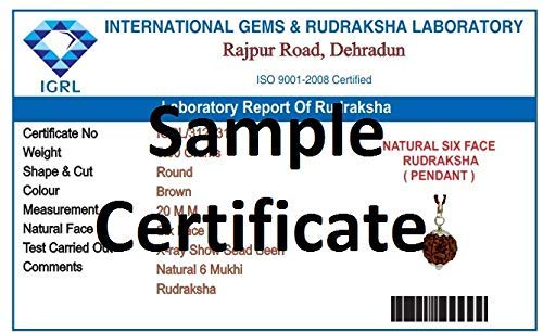 Divya Shakti 6 Mukhi Nepali Rudraksha Silver Pendant Necklace for Men & Women - 20mm Spiritual Meditation Bead Jewelry for Yoga, Mindfulness & Positive Energy