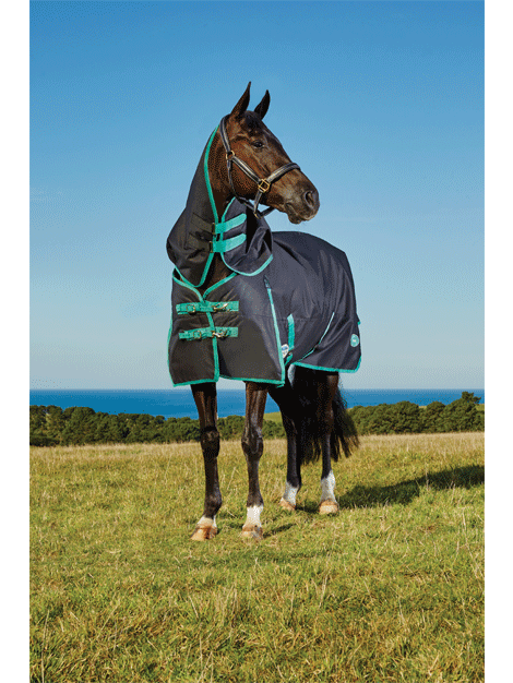 Weatherbeeta Green Tec Heavyweight Turnout Horse Blanket - Waterproof & Breathable Winter Horse Rug for Cold Weather Riding & Stable Use