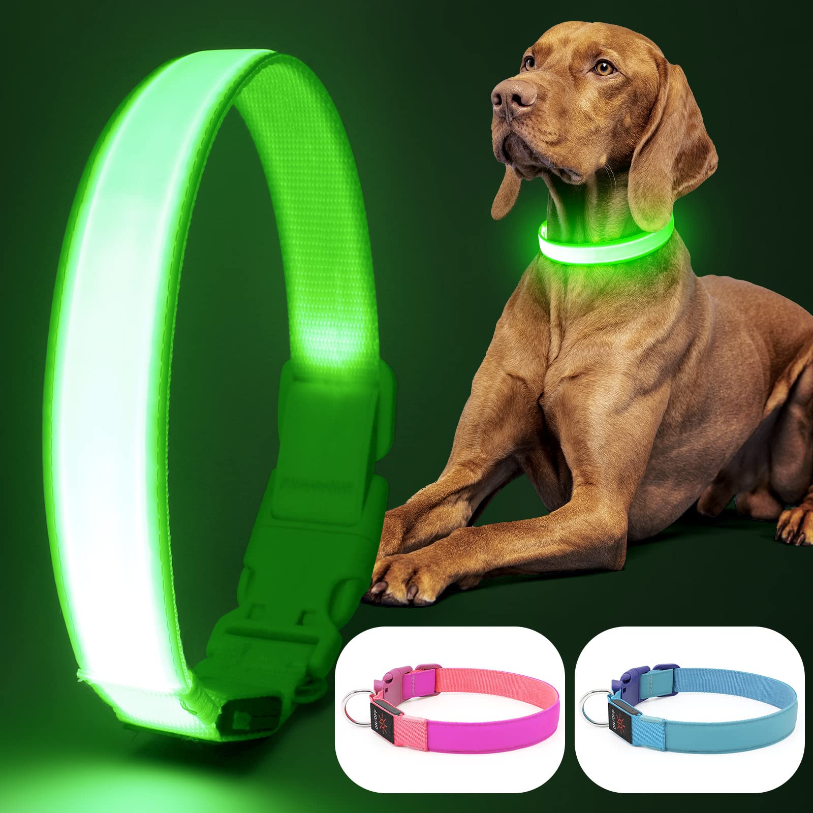 Bpawser LED Dog Collar - USB Rechargeable Light Up Collar with Adjustable Mesh Webbing for Large & Medium Dogs | Glow in The Dark Safety Collar for Night Walks & Outdoor Adventures