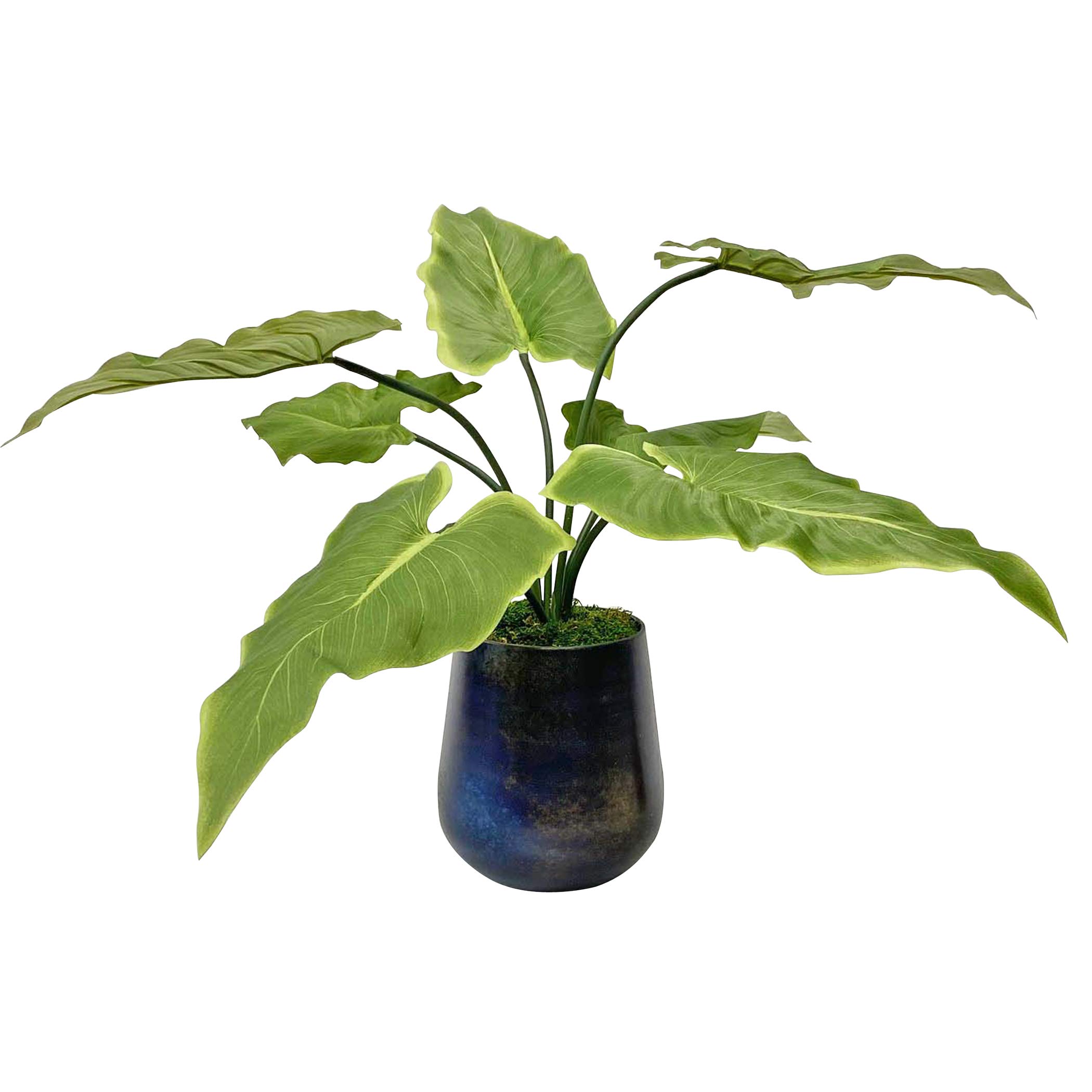 Mari Calla Accent Plant - Elegant Indoor Decorative Flower for Home, Office & Wedding Decor | Perfect for Table Centerpieces, Gift Giving & Interior Design