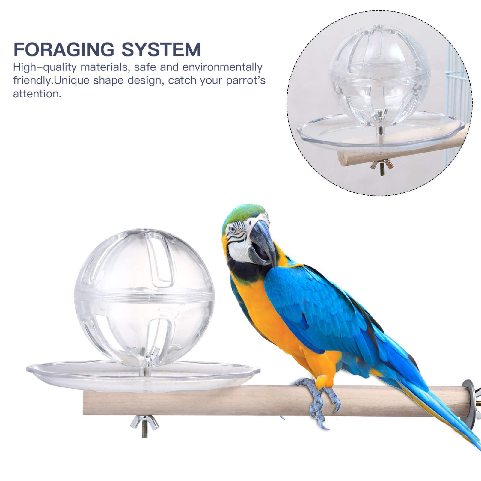 Balacoo Parrot Feeder & Foraging Toys Set - Budgie, Cockatiel, Macaw Bird Cage Food Dispenser with Wood Perforated Balls | Interactive Bird Enrichment for Mental Stimulation & Natural Foraging Behavior