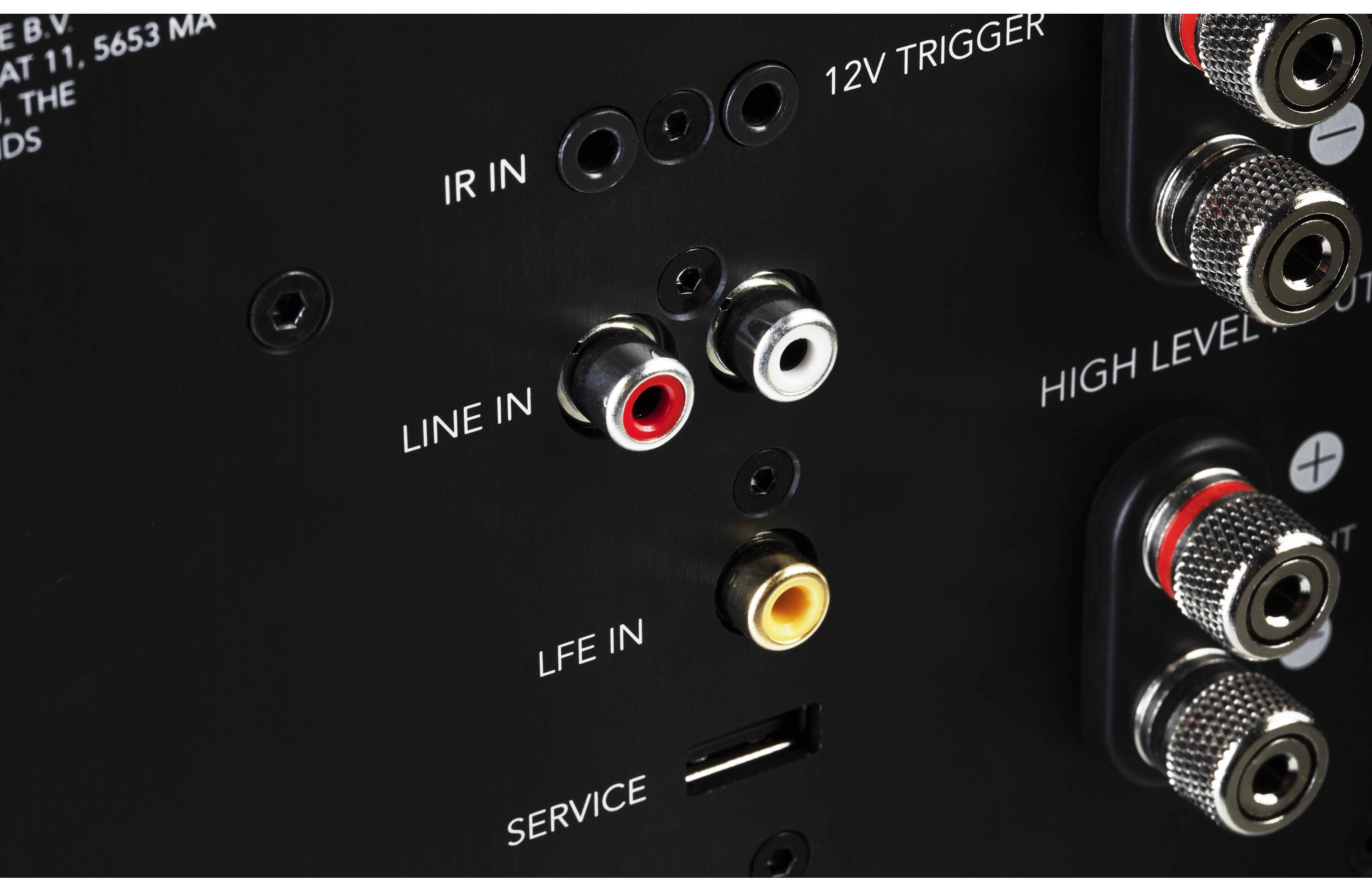 Definitive Technology Descend DN12 12