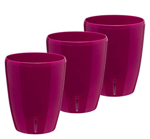 Lilac - Set of 3