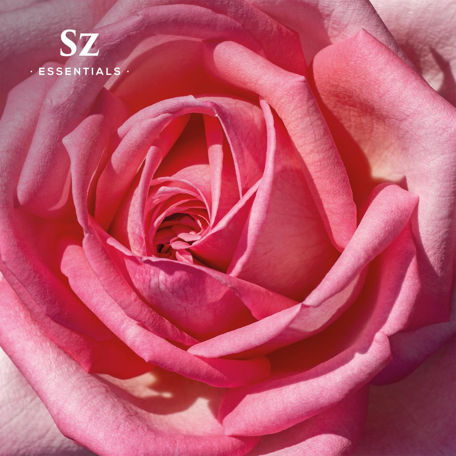 100% Pure Bulgarian Rose Absolute Essential Oil (Rosa Damascena) - Undiluted, Therapeutic Grade, Vegan - Rich Sweet Floral Scent - 0.17oz for Aromatherapy, Skincare & Relaxation